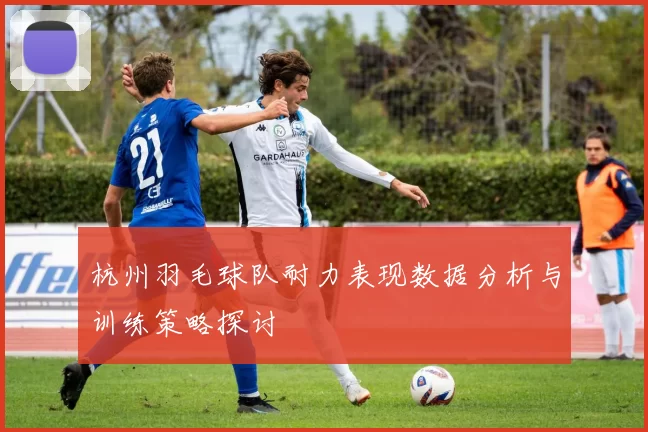 杭州羽毛球队耐力表现数据分析与训练策略探讨