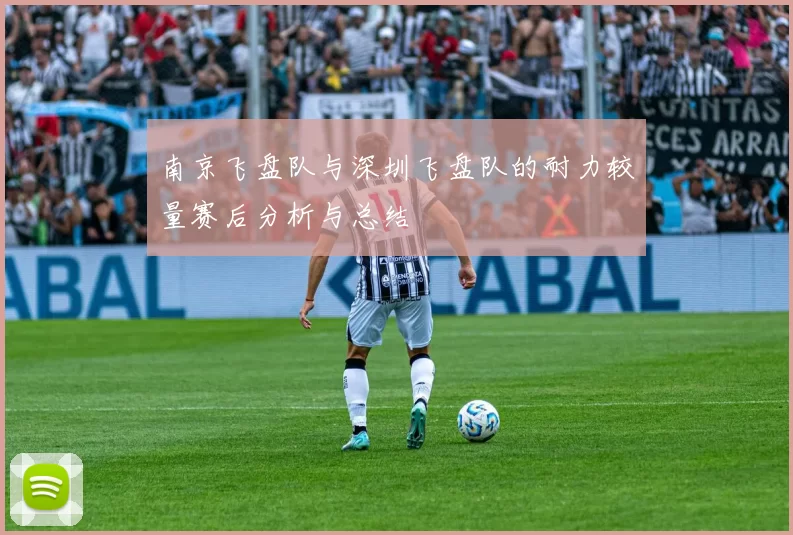 南京飞盘队与深圳飞盘队的耐力较量赛后分析与总结