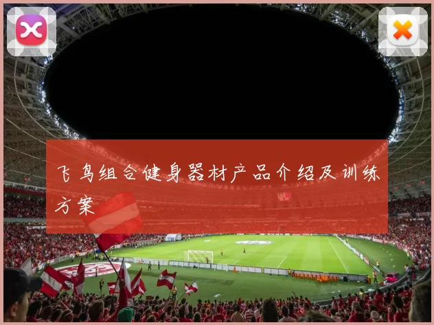 飞鸟组合健身器材产品介绍及训练方案