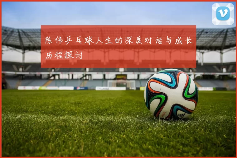 陈伟乒乓球人生的深度对话与成长历程探讨