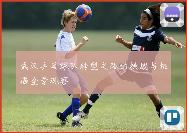 武汉乒乓球队转型之路的挑战与机遇全景观察