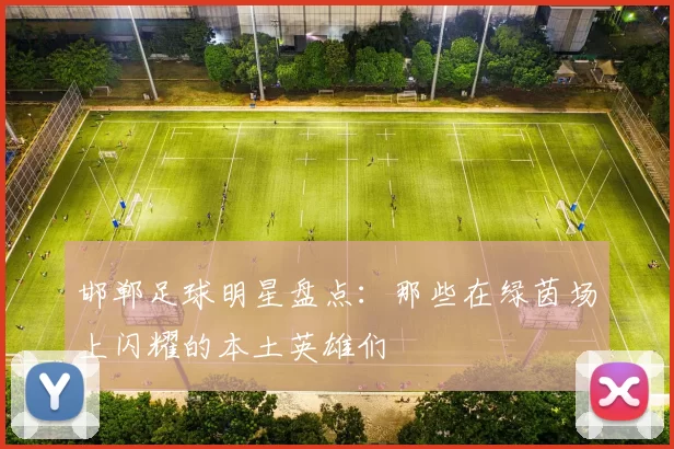 邯郸足球明星盘点：那些在绿茵场上闪耀的本土英雄们