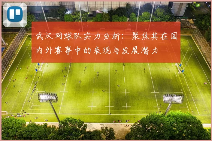 武汉网球队实力分析：聚焦其在国内外赛事中的表现与发展潜力
