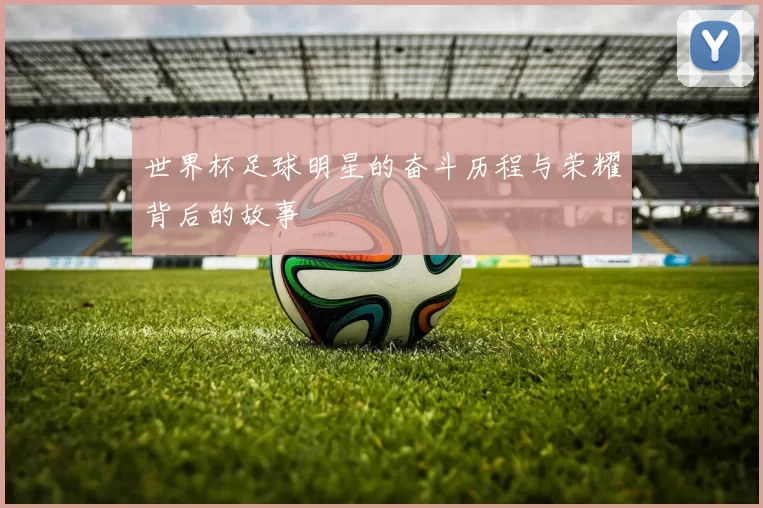 世界杯足球明星的奋斗历程与荣耀背后的故事
