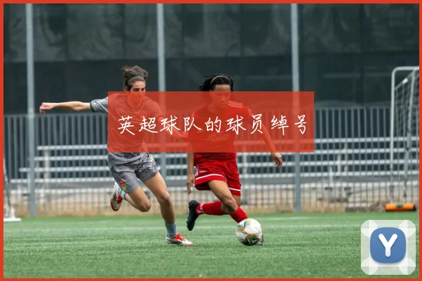 英超球队的球员绰号