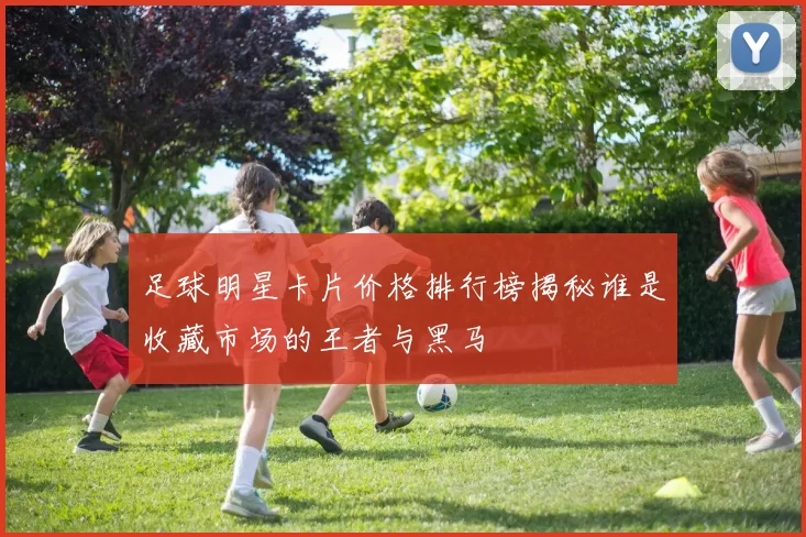 足球明星卡片价格排行榜揭秘谁是收藏市场的王者与黑马