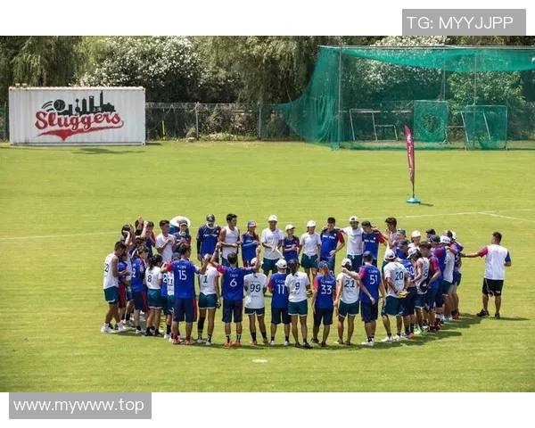 飞盘热潮下的争论杭州飞盘队技术问题引发广泛关注与讨论